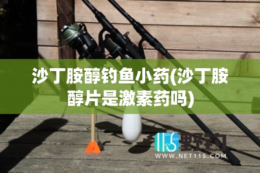 沙丁胺醇钓鱼小药(沙丁胺醇片是激素药吗)