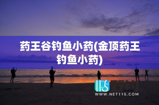 药王谷钓鱼小药(金顶药王钓鱼小药)