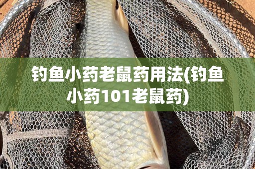 钓鱼小药老鼠药用法(钓鱼小药101老鼠药)