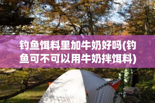 钓鱼饵料里加牛奶好吗(钓鱼可不可以用牛奶拌饵料)