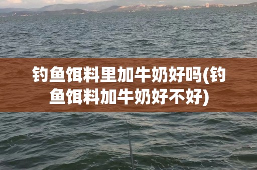 钓鱼饵料里加牛奶好吗(钓鱼饵料加牛奶好不好)