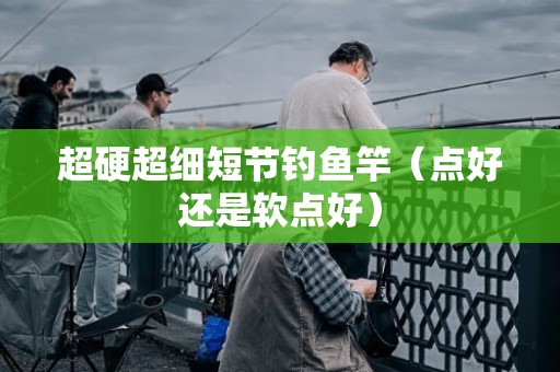超硬超细短节钓鱼竿（点好还是软点好）