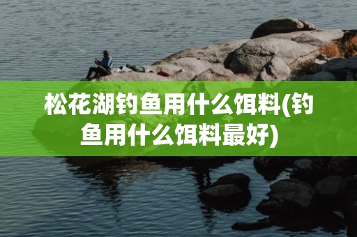 松花湖钓鱼用什么饵料(钓鱼用什么饵料最好)