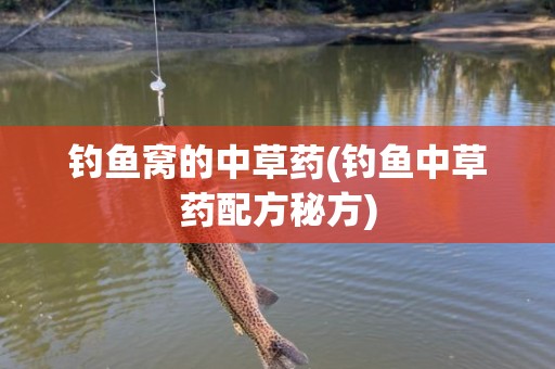 钓鱼窝的中草药(钓鱼中草药配方秘方)
