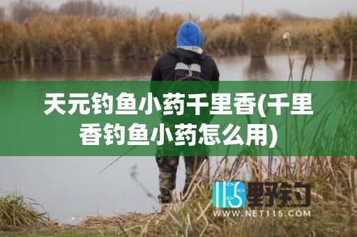 天元钓鱼小药千里香(千里香钓鱼小药怎么用)