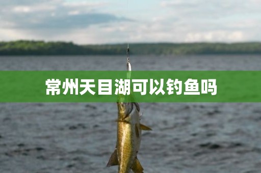 常州天目湖可以钓鱼吗