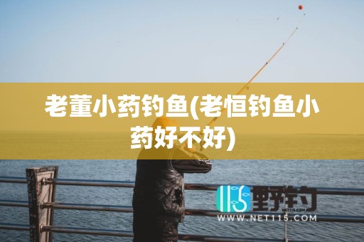 老董小药钓鱼(老恒钓鱼小药好不好)