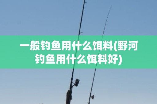 一般钓鱼用什么饵料(野河钓鱼用什么饵料好)