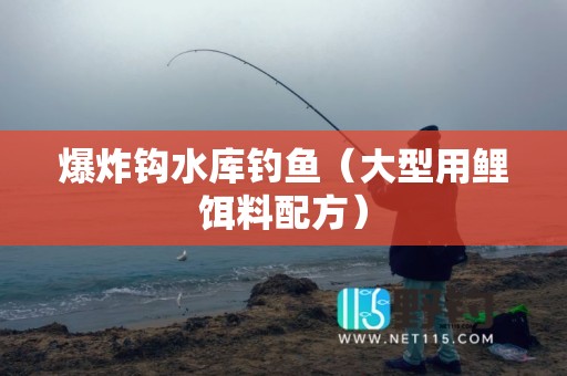 爆炸钩水库钓鱼（大型用鲤饵料配方）