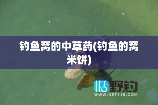 钓鱼窝的中草药(钓鱼的窝米饼)