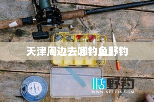 天津周边去哪钓鱼野钓