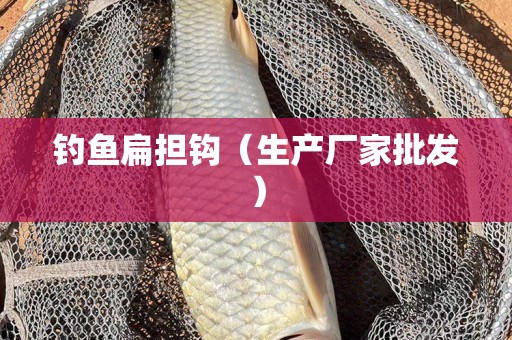 钓鱼扁担钩（生产厂家批发）
