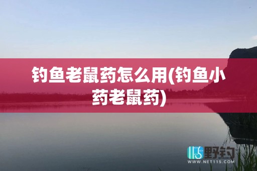 钓鱼老鼠药怎么用(钓鱼小药老鼠药)