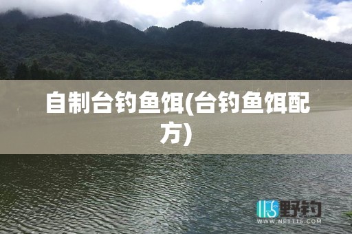 自制台钓鱼饵(台钓鱼饵配方)