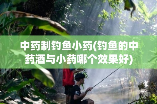 中药制钓鱼小药(钓鱼的中药酒与小药哪个效果好)