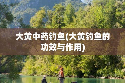 大黄中药钓鱼(大黄钓鱼的功效与作用)