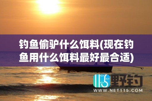 钓鱼偷驴什么饵料(现在钓鱼用什么饵料最好最合适)