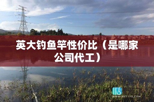 英大钓鱼竿性价比（是哪家公司代工）