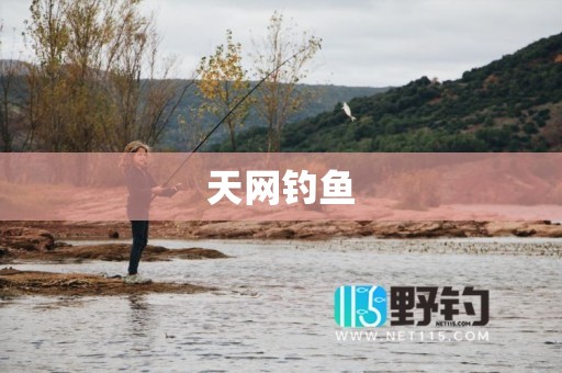 天网钓鱼