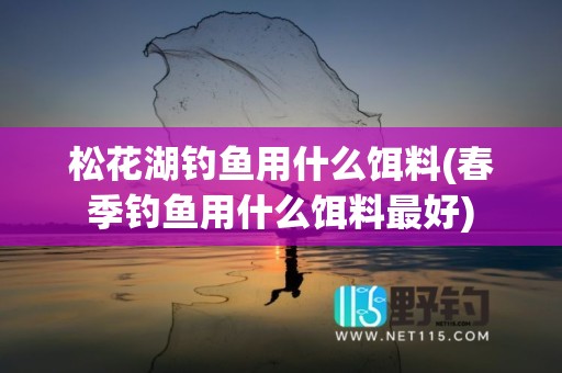松花湖钓鱼用什么饵料(春季钓鱼用什么饵料最好)