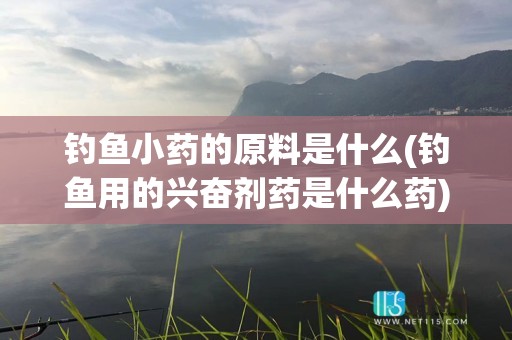 钓鱼小药的原料是什么(钓鱼用的兴奋剂药是什么药)
