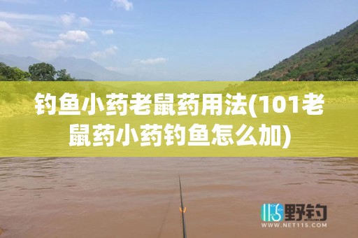 钓鱼小药老鼠药用法(101老鼠药小药钓鱼怎么加)