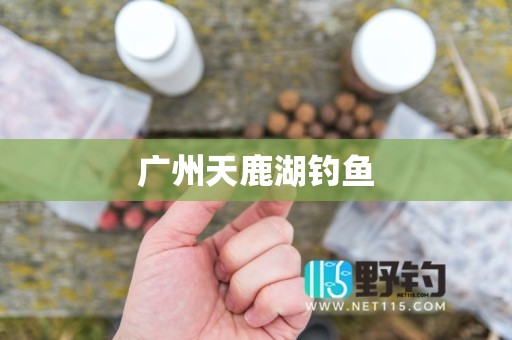 广州天鹿湖钓鱼