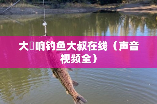 大槻响钓鱼大叔在线（声音视频全）