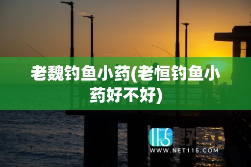 老魏钓鱼小药(老恒钓鱼小药好不好)