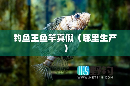 钓鱼王鱼竿真假（哪里生产）