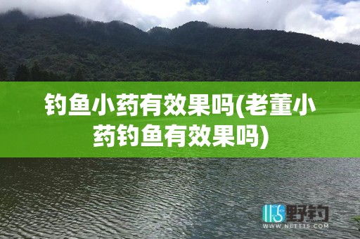 钓鱼小药有效果吗(老董小药钓鱼有效果吗)