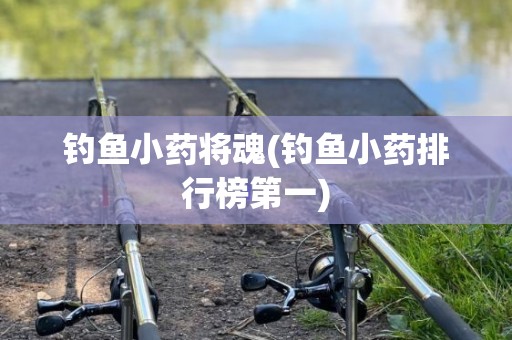钓鱼小药将魂(钓鱼小药排行榜第一)