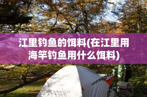 江里钓鱼的饵料(在江里用海竿钓鱼用什么饵料)