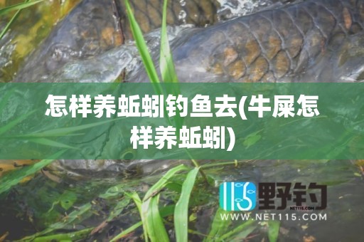 怎样养蚯蚓钓鱼去(牛屎怎样养蚯蚓)