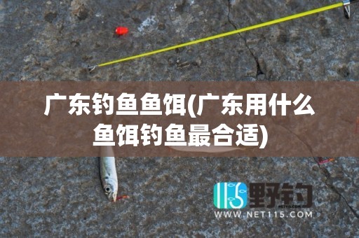 广东钓鱼鱼饵(广东用什么鱼饵钓鱼最合适)