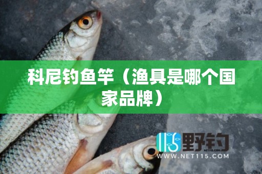 科尼钓鱼竿（渔具是哪个国家品牌）