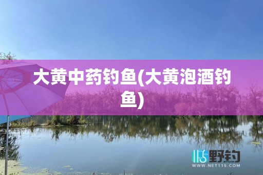 大黄中药钓鱼(大黄泡酒钓鱼)