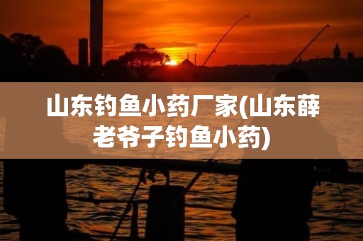 山东钓鱼小药厂家(山东薛老爷子钓鱼小药)