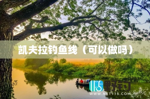 凯夫拉钓鱼线（可以做吗）