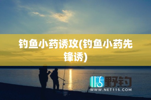 钓鱼小药诱攻(钓鱼小药先锋诱)