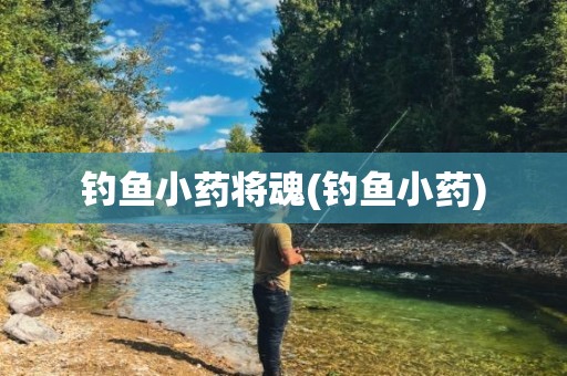 钓鱼小药将魂(钓鱼小药)