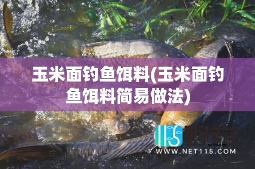 玉米面钓鱼饵料(玉米面钓鱼饵料简易做法)