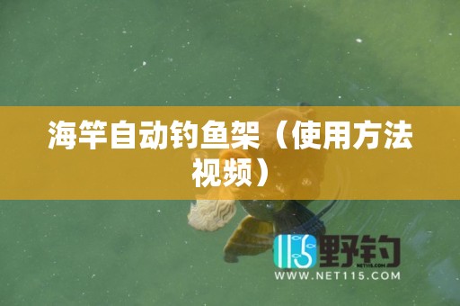 海竿自动钓鱼架（使用方法视频）