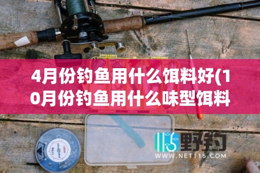 4月份钓鱼用什么饵料好(10月份钓鱼用什么味型饵料)