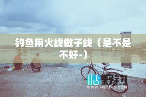 钓鱼用火线做子线（是不是不好-）