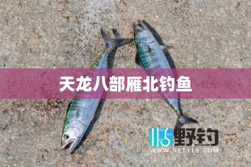 天龙八部雁北钓鱼