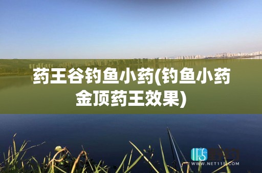 药王谷钓鱼小药(钓鱼小药金顶药王效果)