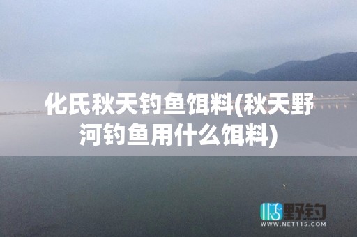 化氏秋天钓鱼饵料(秋天野河钓鱼用什么饵料)