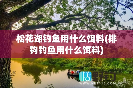 松花湖钓鱼用什么饵料(排钩钓鱼用什么饵料)