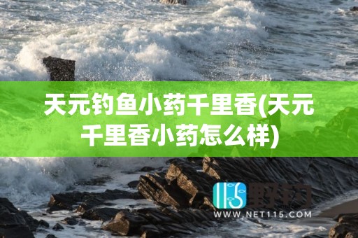 天元钓鱼小药千里香(天元千里香小药怎么样)